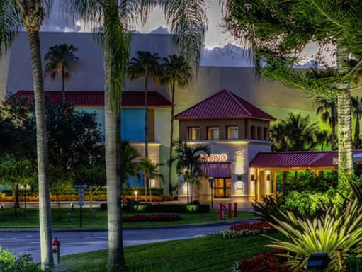 Hotel entrance illuminated at dusk with palm trees.