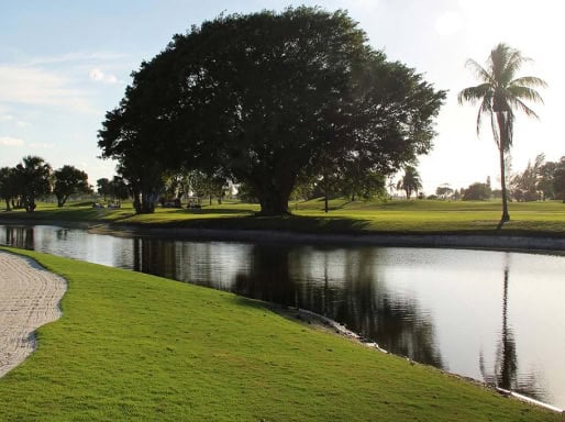 Golf course with water feature and palm trees.