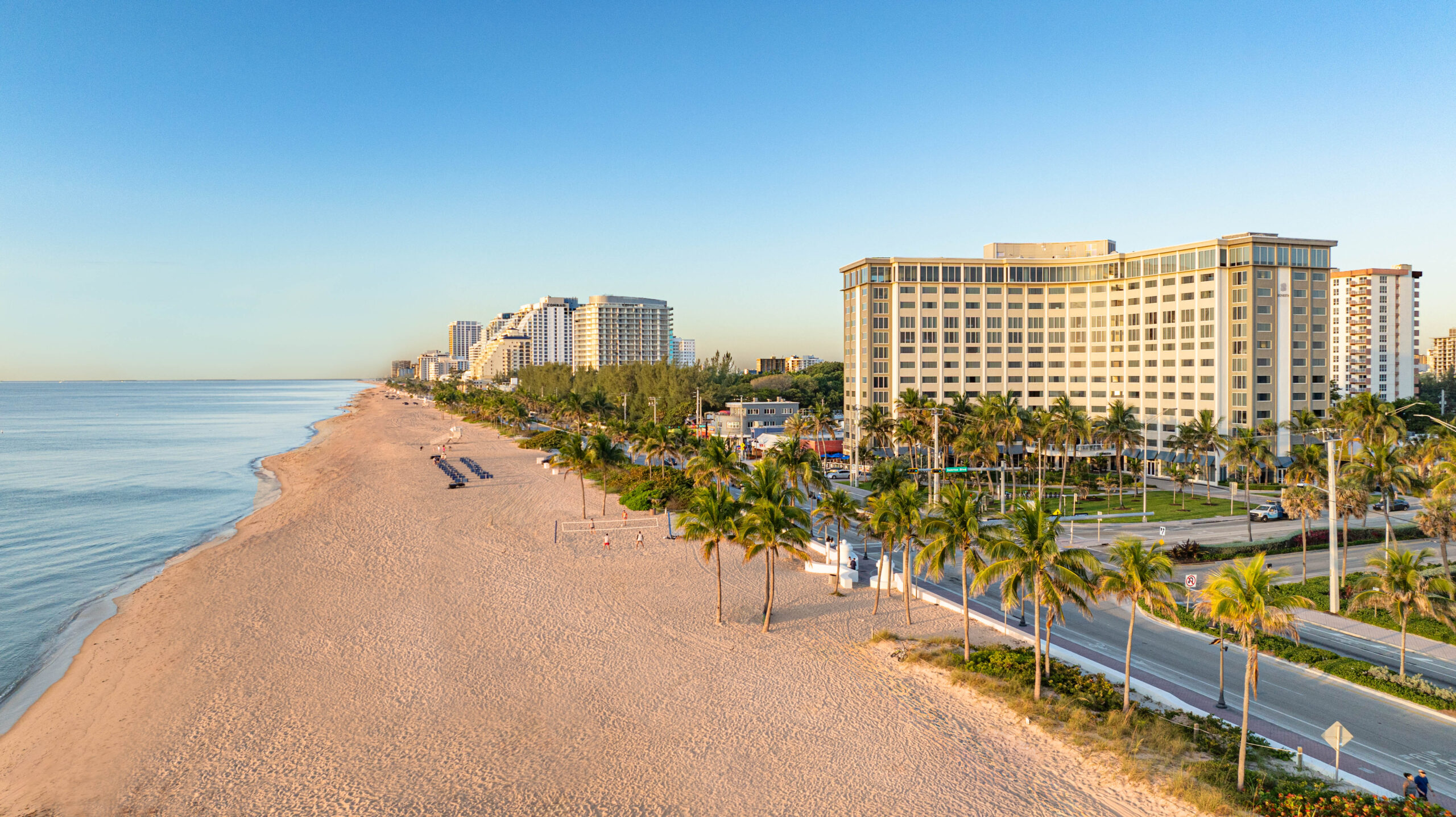 A sunny beach scene featuring palm trees with buildings visible in the background.