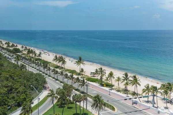 A road lined by palm trees next to the beach and blue water.