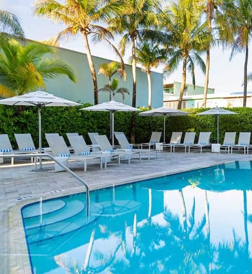 Hotel pool surrounded by lush palm trees, creating a tropical and inviting atmosphere for guest.